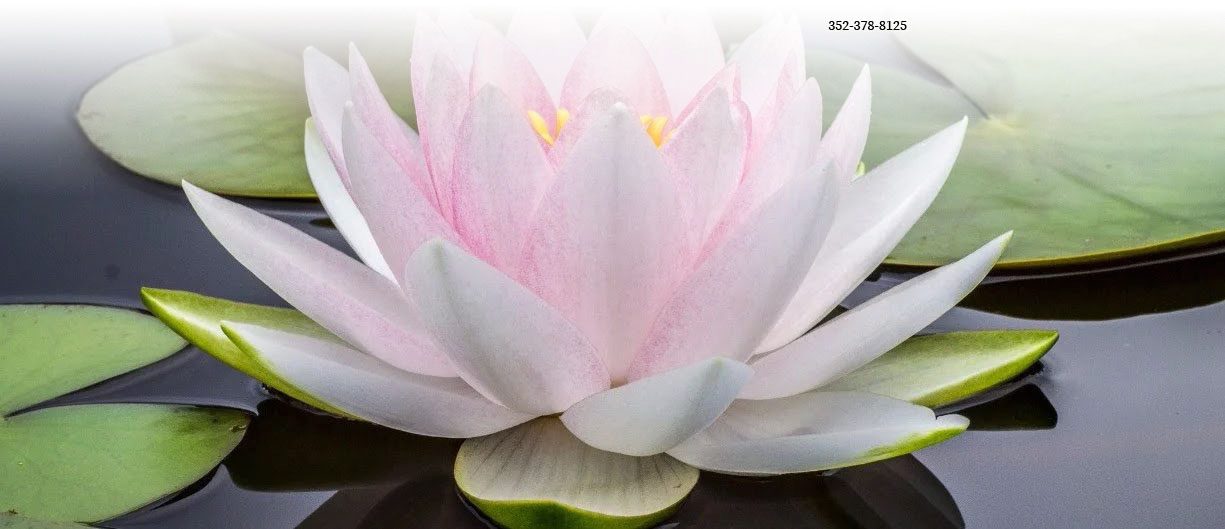images/FloatingLotus_large.jpg