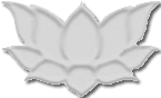 Silver Silver