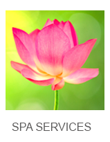Spa Services